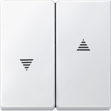 Merten Wippe für Rollladenschalter und Wipptaster Einsatz, Typ 435519, zweiteilige Wippe weiß (matt), Retail