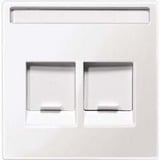 Merten Zentralplatte für Modular Jack mit zwei Öffnungen und Beschriftungsfeld, glänzend weiß (glänzend), Retail