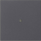 Gira Funk Bedienaufsatz, Fernsteuerung anthrazit, Retail