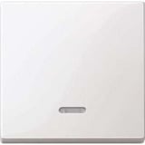 Merten Wippe Kontrollfenster für Schalter und Taster Einsatz, glänzend, 1-fach, Thermoplast weiß (glänzend), Retail