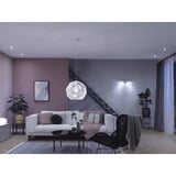 Philips HUE White Ambiance Starter-Set: E27 Lampe A60 Doppelpack + Dimmschalter, LED-Lampe 