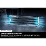 Samsung 9100 PRO Heatsink 2 TB, SSD PCIe 5.0 x4, NVMe 2.0, M.2 2280