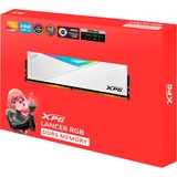 ADATA DIMM 48 GB DDR5-6800 (2x 24 GB) Dual-Kit, Arbeitsspeicher weiß, AX5U6800C3424G-DCLARWH, XPG Lancer RGB