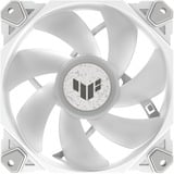 ASUS TUF GAMING TF120 ARGB White, Gehäuselüfter weiß/transparent, 120 mm