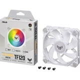 ASUS TUF GAMING TF120 ARGB White, Gehäuselüfter weiß/transparent, 120 mm