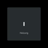 Busch-Jaeger Wippe mit roter Kalotte schwarz, Retail