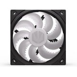 ENDORFY Fluctus 120 PWM ARGB, Gehäuselüfter schwarz/transparent, 120 mm