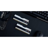 G.Skill DIMM 32 GB DDR5-5600 Kit, Arbeitsspeicher silber, F5-5600J3036D16GX2-TZ5RS, Trident Z5 RGB, XMP