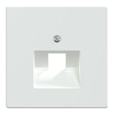 Merten Zentralplatte einfach für Universal-Anschluss-Einsätze, glänzend, Kunststoff, Unterputz weiß (glänzend), Retail