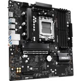 ASRock A620AM PRO-A, Mainboard 