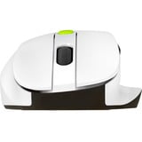 ASUS MD105, Maus weiß/grün
