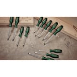 Bosch Schraubendreher+Magnetisierer Set, 6-teilig grün/schwarz, +Magnetisierer, Schlitz und Kreuzschlitz PH/TX