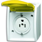 Busch-Jaeger Busch Nema Steckdose 15 Ampere gelb, Retail