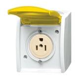 Busch-Jaeger Busch Nema Steckdose 15 Ampere gelb, Retail