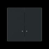 Busch-Jaeger Wippe mit zwei Wippenhälften schwarz, Retail