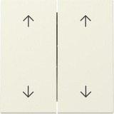 Gira Wippe zweifach mit Pfeilsymbolen weiß, Retail