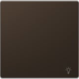 Merten Wippe mit Kennzeichnung Licht für Wechselschalter Kreuzschalter Taster Einsatz bronze, Retail