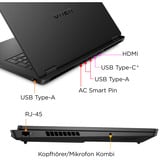OMEN 17-db1170ng, Gaming-Notebook schwarz, AMD Ryzen AI 7 350, NVIDIA GeForce RTX 5070, 32 GB DDR5, 1 TB (1 TB SSD), Windows 11 Home