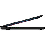 Razer Blade 17 (RZ09-0406CGC3-R3G1), Gaming-Notebook schwarz, Windows 10 Home 64-Bit, 360 Hz Display