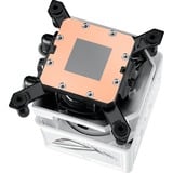 ASUS ROG Ryujin III 360 ARGB Extreme White, Wasserkühlung weiß