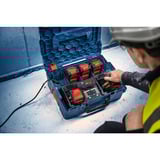 Bosch EXPERT Schnell-Ladegerät EXAL18V2-320 schwarz, L-BOXX, AMPShare Alliance