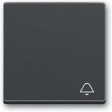 Busch-Jaeger Wippe mit Aufdruck anthrazit, Retail