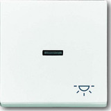 Busch-Jaeger Wippe mit Symbol Licht einteilige Wippe Retail