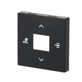 Busch-Jaeger Zentralscheibe matt, Abdeckung schwarz, Retail