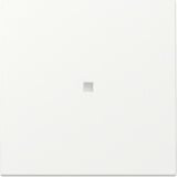 Gira Wippe Kontrollfenster weiß, Retail