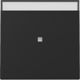 Gira Wippe Kontrollfenster einteilige Wippe schwarz, Retail
