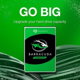 Seagate BarraCuda 4 TB ST4000DM004, Festplatte SATA 6 Gb/s, 3,5"