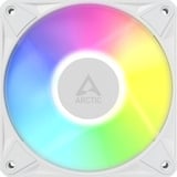 ARCTIC BioniX P12 A-RGB, Gehäuselüfter weiß/weiß, 3er Pack, 120 mm