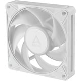 ARCTIC BioniX P12 A-RGB, Gehäuselüfter weiß/weiß, 3er Pack, 120 mm