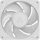 ARCTIC BioniX P12 A-RGB, Gehäuselüfter weiß/weiß, 3er Pack, 120 mm