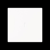 Busch-Jaeger Wippe mit Beschriftungsfeld weiß, Retail