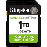 Kingston Canvas Select Plus 1 TB SDXC, Speicherkarte UHS-I U3, Class 10, V30