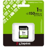 Kingston Canvas Select Plus 1 TB SDXC, Speicherkarte UHS-I U3, Class 10, V30