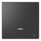 Merten Wippe mit Kontrollfenster anthrazit, Retail