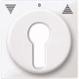 Merten Zentralplatte für Rollladeneinsatz, Ausführung Key Switch, glänzend, Thermoplast weiß (glänzend), Retail