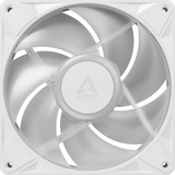 ARCTIC BioniX P14 A-RGB, Gehäuselüfter weiß/weiß, 140 mm