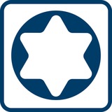 Bosch Schraubendreher TX 10 x 75 Professional blau/schwarz