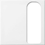 Busch-Jaeger Zentralscheibe als Abdeckung für Universalsteckvorrichtung, Rahmen weiß, Retail