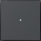 Gira Wippe mit Kontrollfenster Diebstahlschutz durch optional verschraubbares Klemmstück anthrazit, Retail