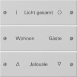 Gira Wippenset dreifach beschreibbar lackiert grau, Retail