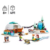 LEGO 41760 Friends Ferien im Iglu, Konstruktionsspielzeug 