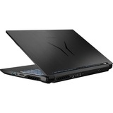 Medion ERAZER Crawler E25 (30032035), Gaming-Notebook schwarz, Windows 11 Home 64-Bit, 60 Hz Display