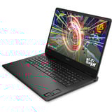 OMEN 17-db1075ng, Gaming-Notebook schwarz, AMD Ryzen AI 7 350, NVIDIA GeForce RTX 5070, 32 GB DDR5, 1 TB (1 TB SSD), Windows 11 Home