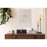 TELESTAR DIRA S24i, Radiowecker braun/schwarz