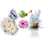 Clementoni Kristalle selbst züchten Starter, Experimentierkasten 