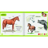 Ravensburger tiptoi Pocket Wissen: Pferde und Ponys, Lernbuch 